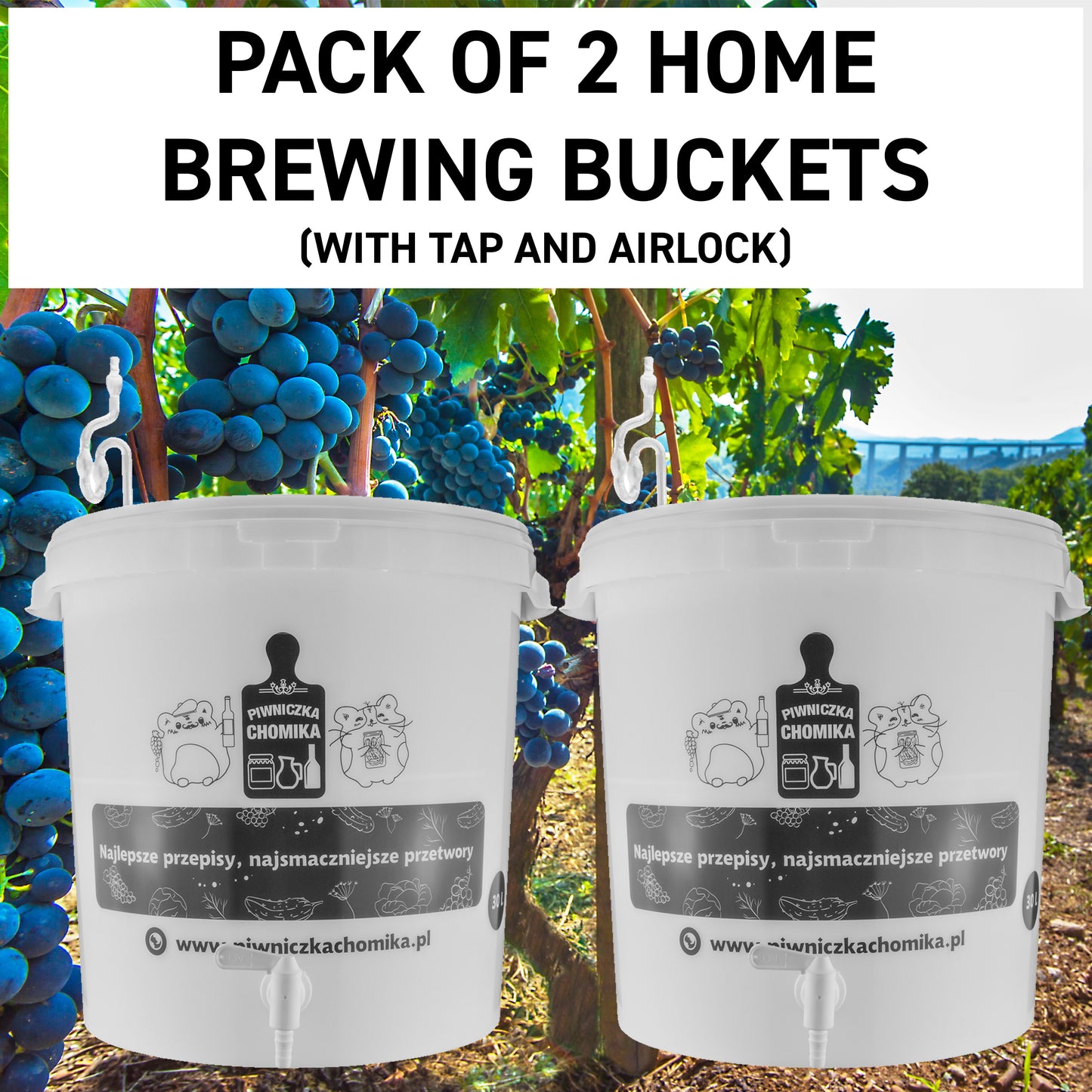 Home brew bucket 30l + tap